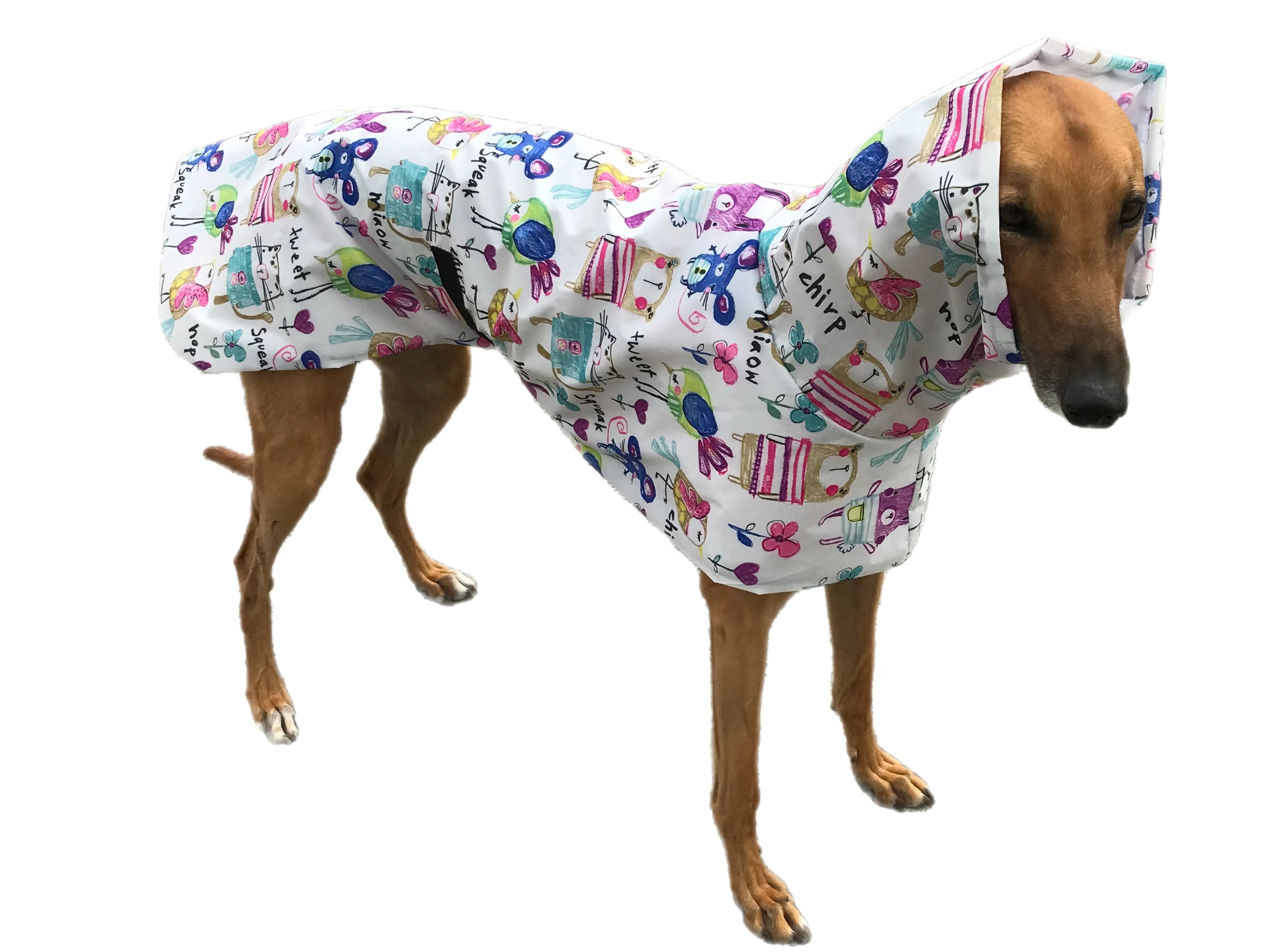 Cutest Summer rainwear Greyhound coat deluxe style, ultra lightweight,  washable