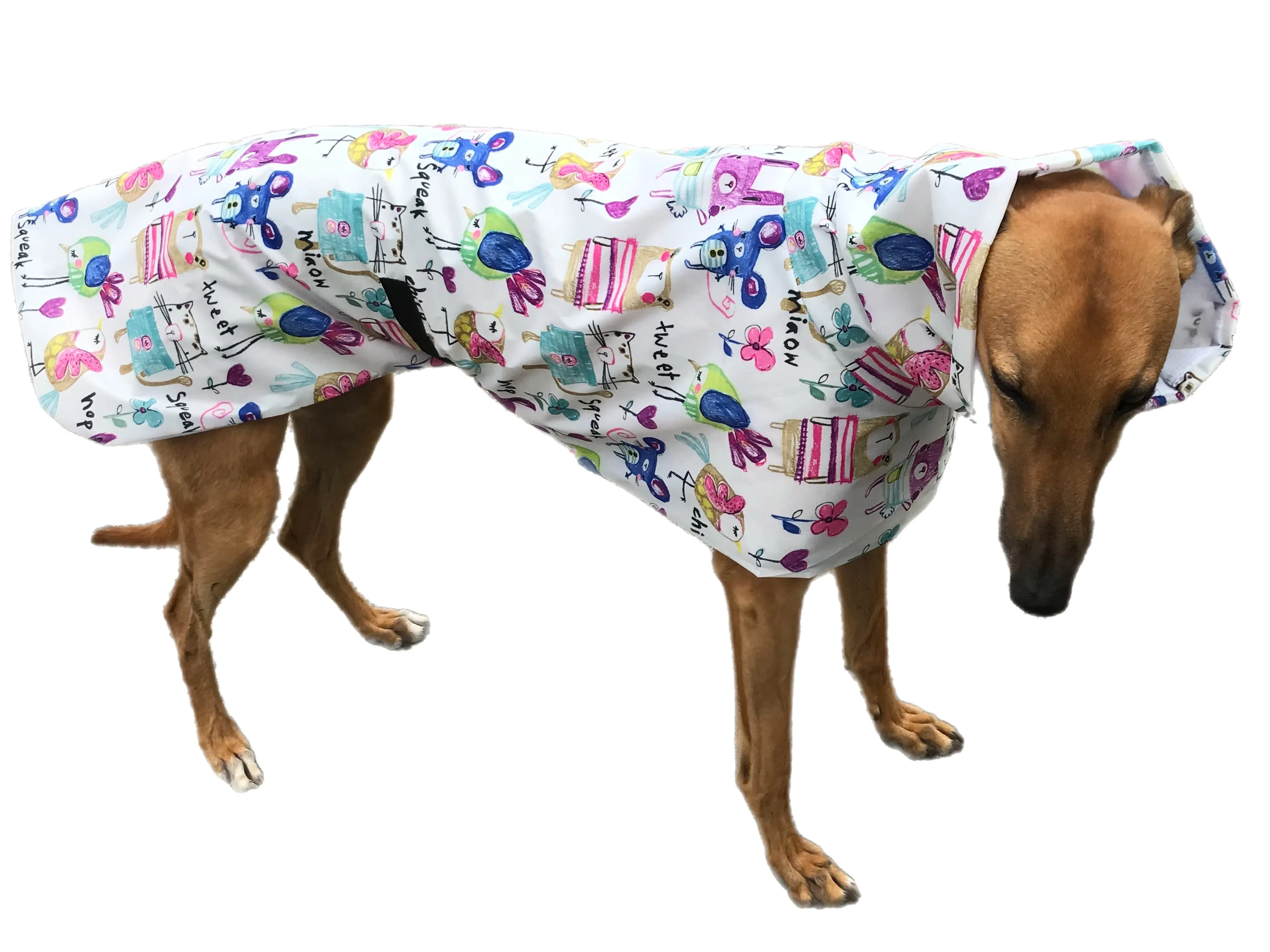 Cutest Summer rainwear Greyhound coat deluxe style, ultra lightweight,  washable