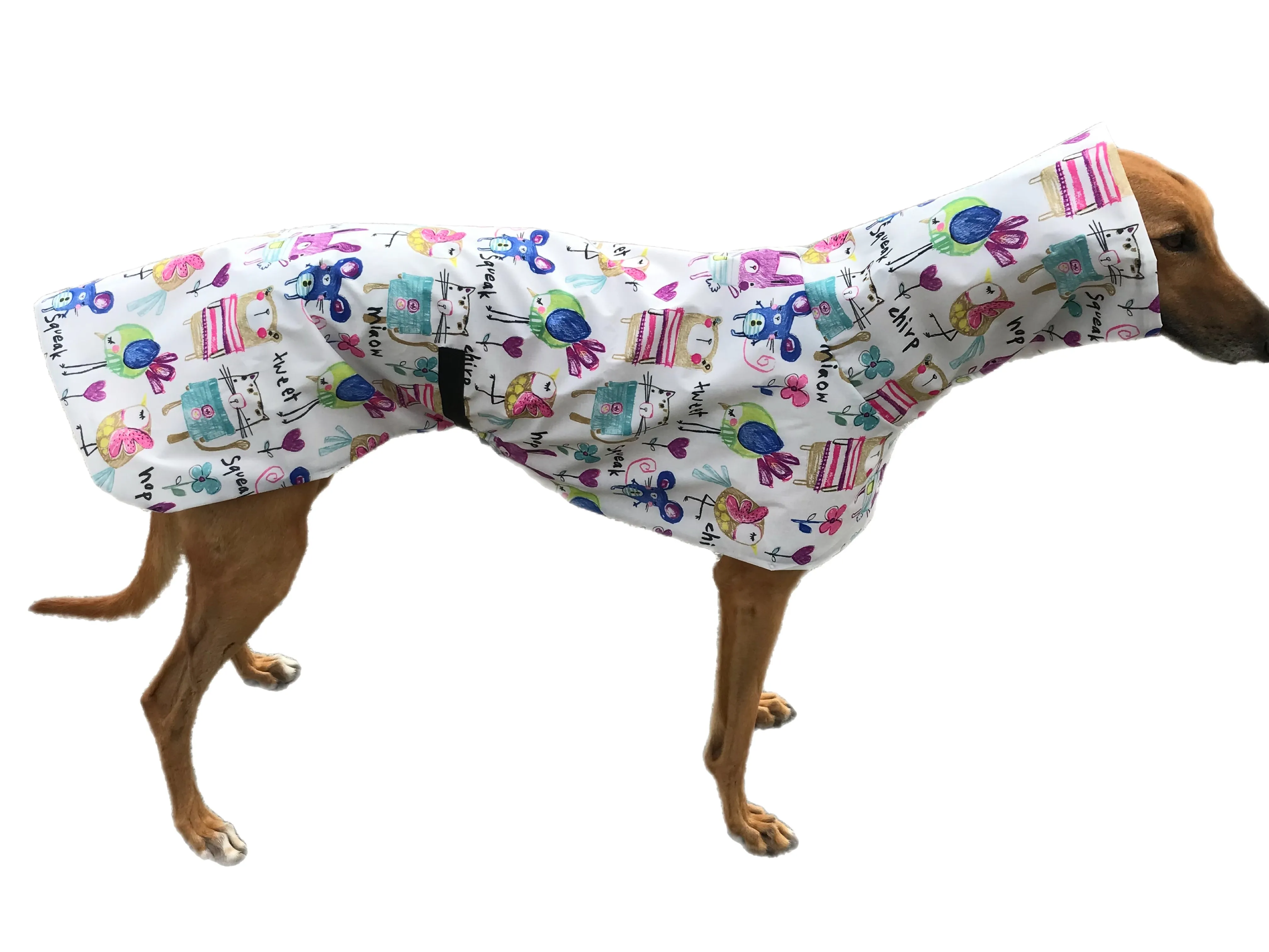 Cutest Summer rainwear Greyhound coat deluxe style, ultra lightweight,  washable