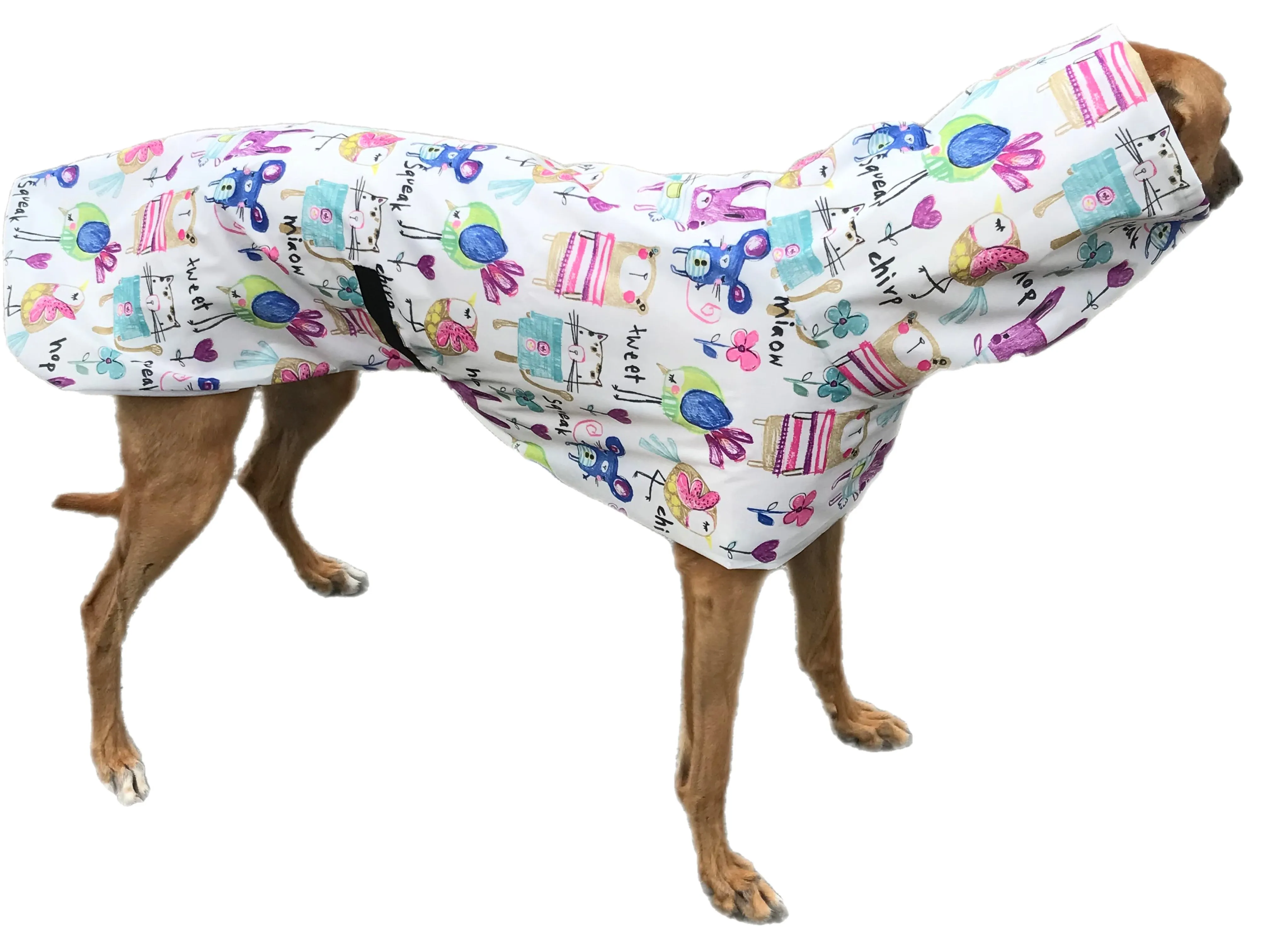 Cutest Summer rainwear Greyhound coat deluxe style, ultra lightweight,  washable