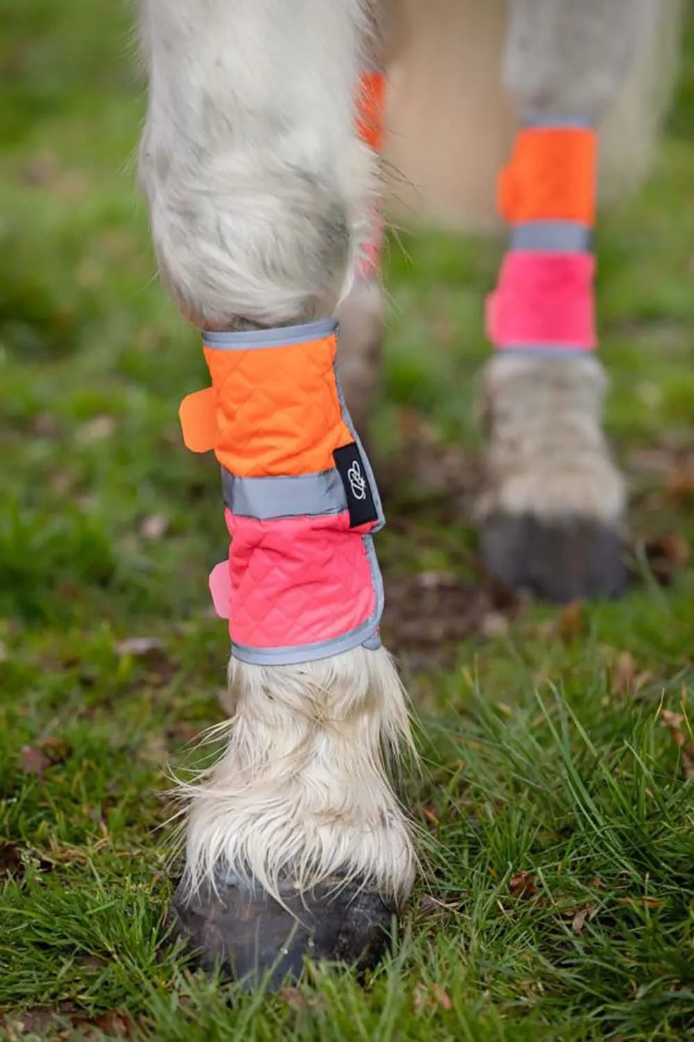 Equisafety Multi coloured Leg Boots