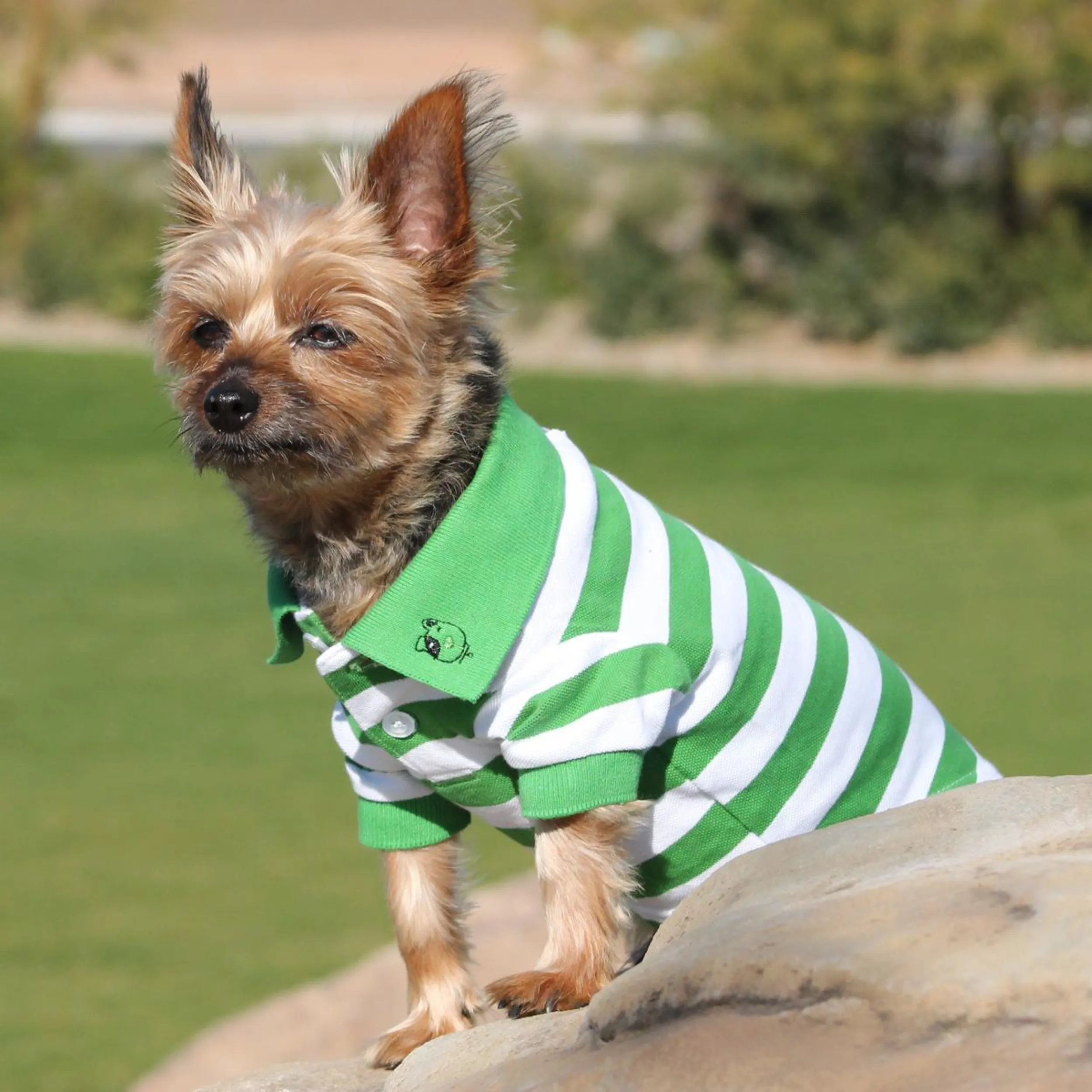 Polo Shirt | Emerald Stripes