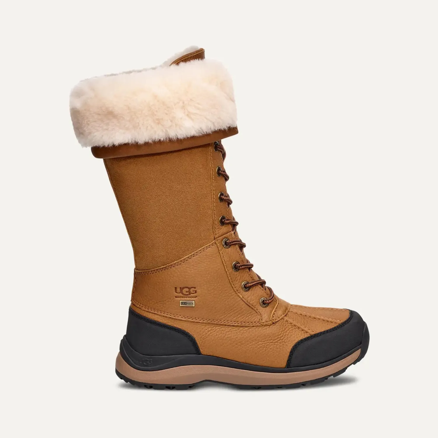 Women's Adirondack III Tall Boot