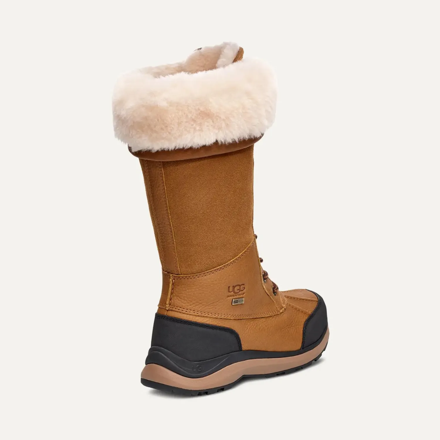 Women's Adirondack III Tall Boot